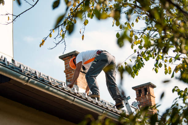 Best Roofing Contractor Near Me  in Marcellus, MI