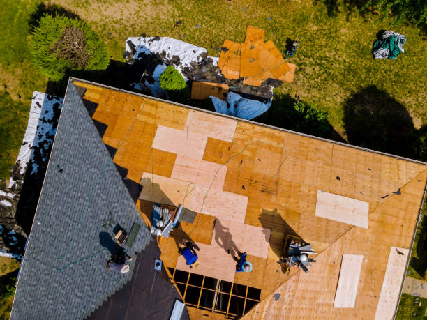 Best Roof Repair Services  in Marcellus, MI