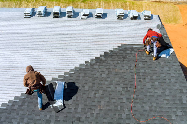 Best Roof Gutter Cleaning  in Marcellus, MI