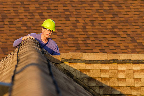 Best Roof Repair Specialists  in Marcellus, MI